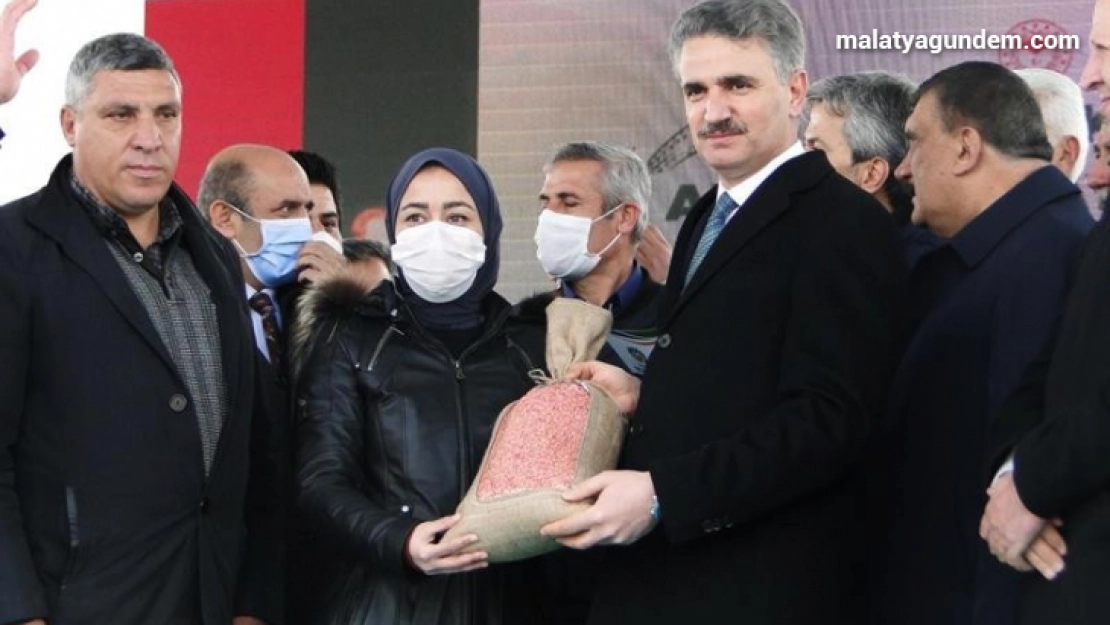 Çiftçilere dağıtılan arpa ve buğdayın ekimi yapılıyor