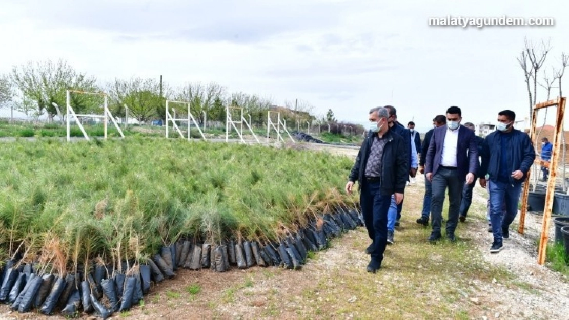 Çınar, Tepeköy fidanlık alanında ki çalışmaları inceledi