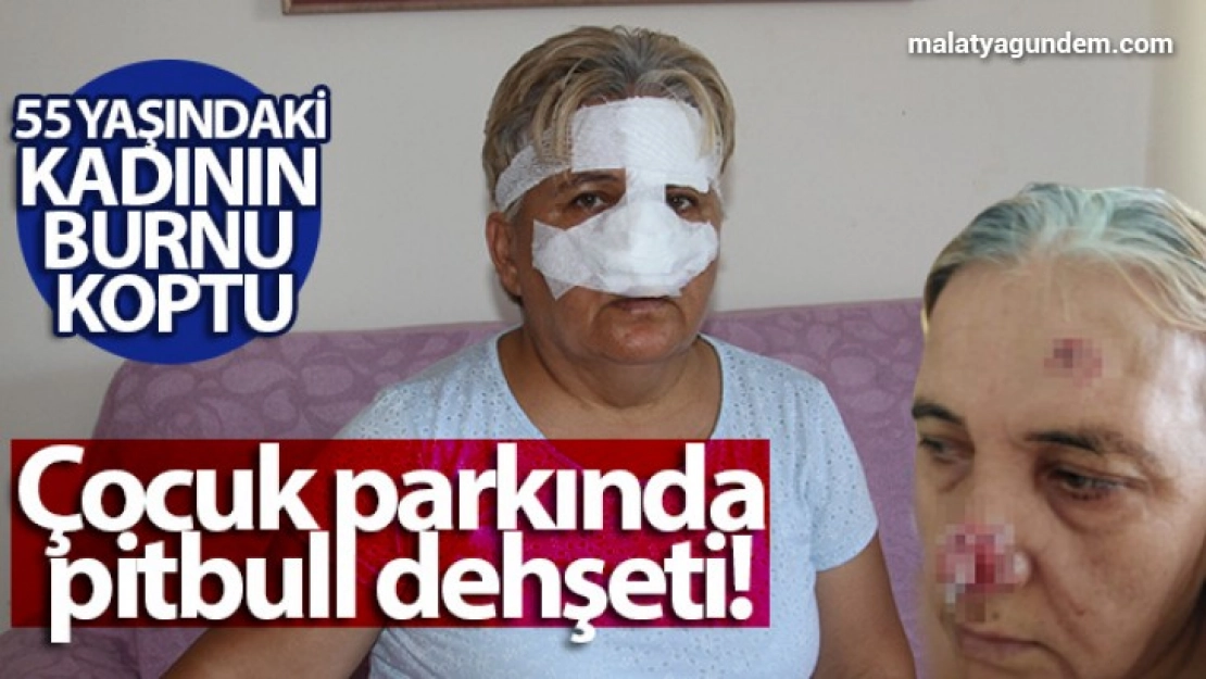 Çocuk parkında pitbull dehşeti