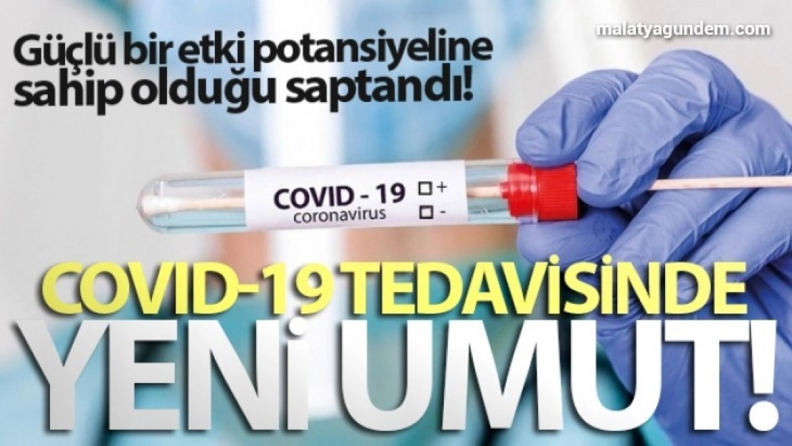 Covid-19 tedavisinde yeni umut