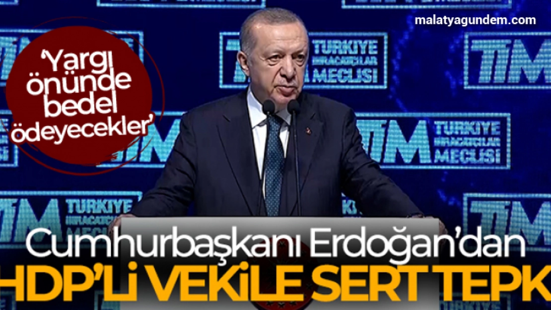 Cumhurbaşkanı Erdoğan'dan HDP'li vekile sert tepki!