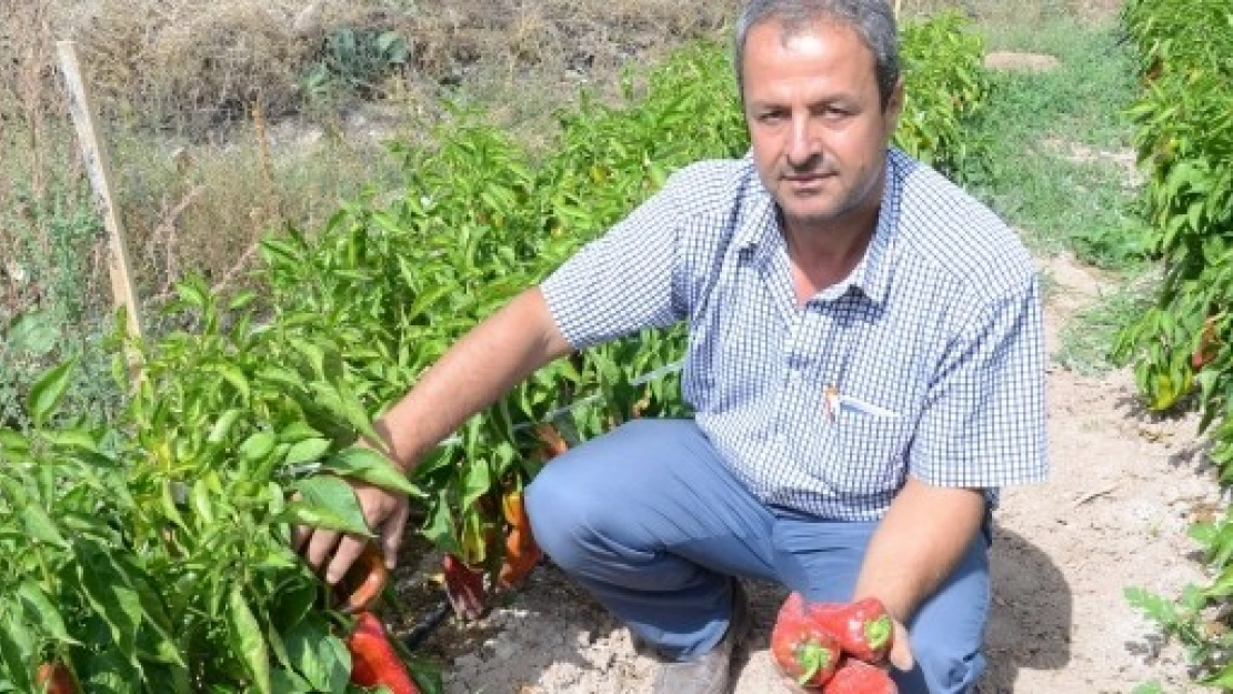 Darende'de Üretim Yaygınlaşıyor