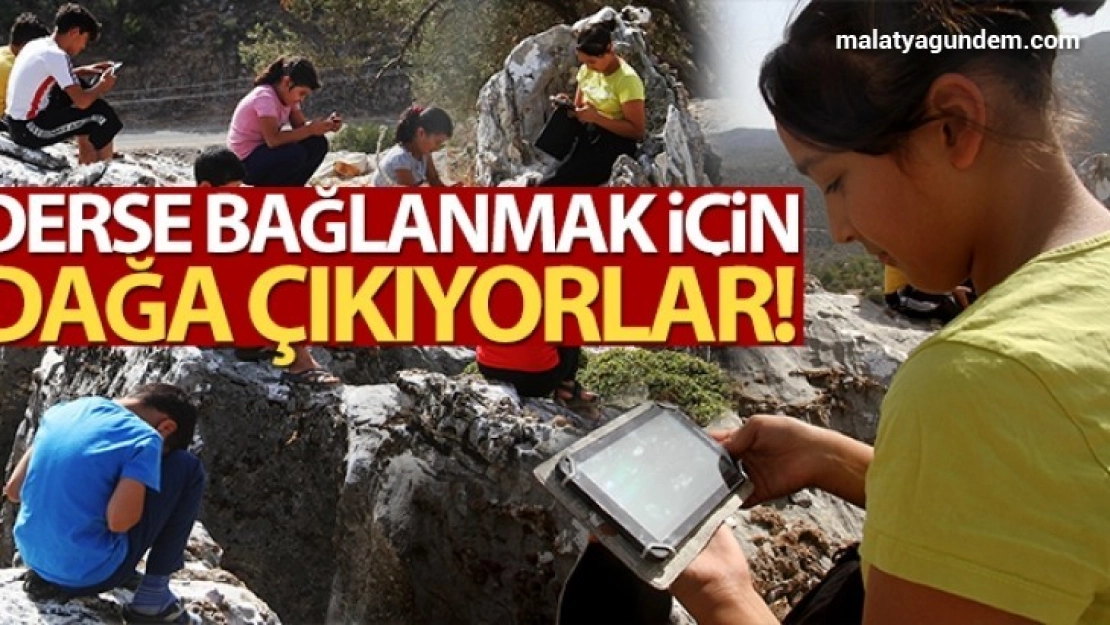 Derse bağlanmak için dağa çıkıyorlar!