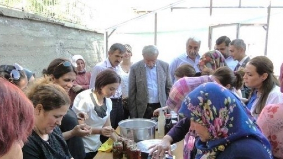 Doğanşehir'de Kapya Biber Hasadı Başladı