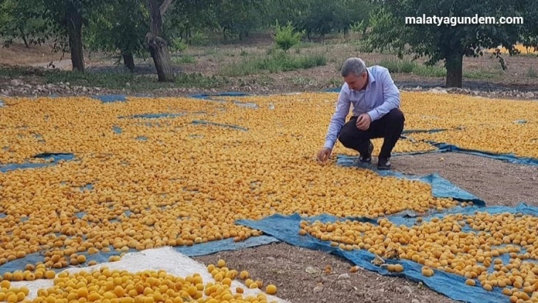 Doğu'da en fazla ihracat Malatya'dan gerçekleştiriliyor