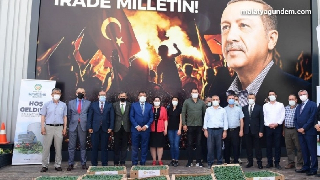 Dondan zarar gören çiftçilere fide desteği