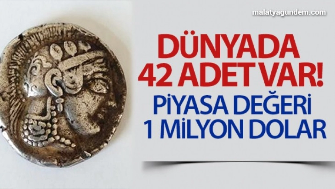 Dünyada 42 adet var, piyasa değeri 1 milyon dolar