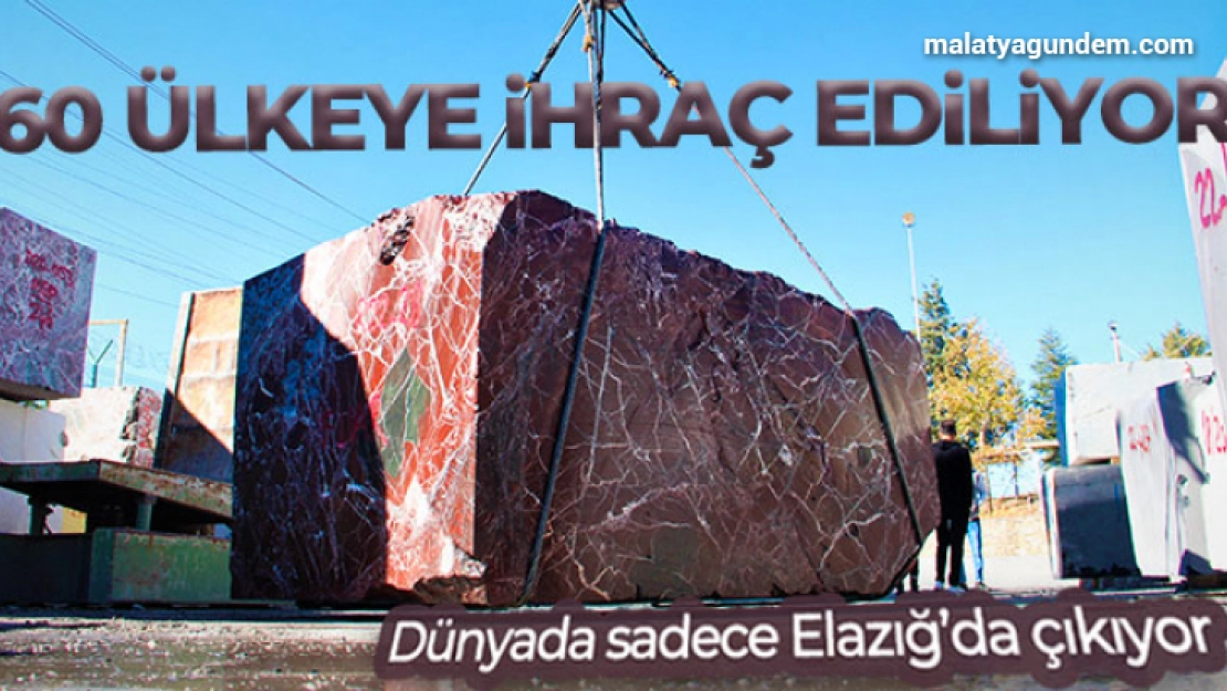 Dünyada sadece Elazığ'da çıkıyor, 60 ülkeye ihraç ediliyor