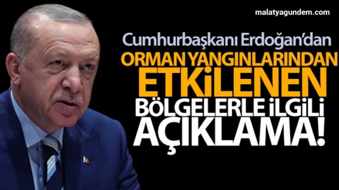 Erdoğan'dan Orman yangınlarından etkilenen bölgelerle ilgili açıklama!