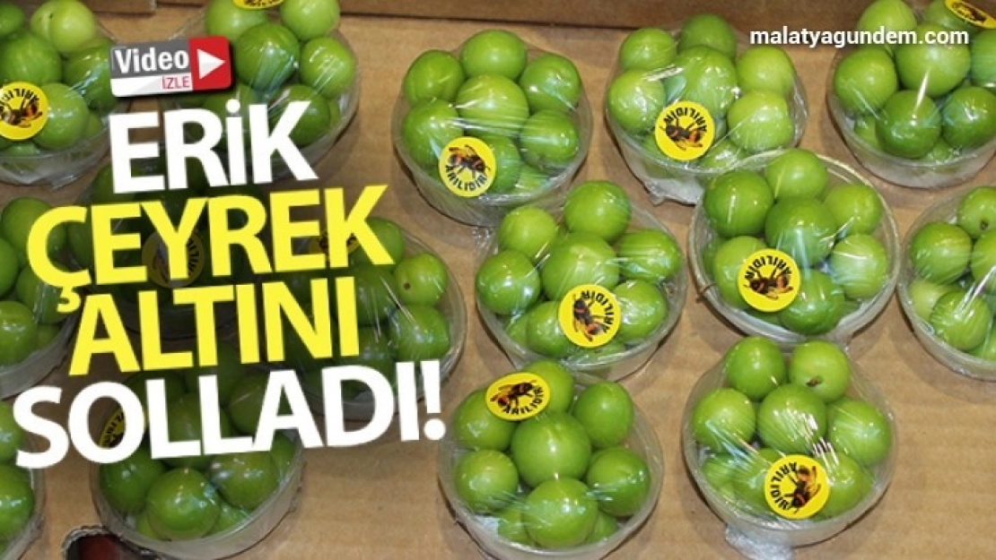 Erik, çeyrek altını solladı