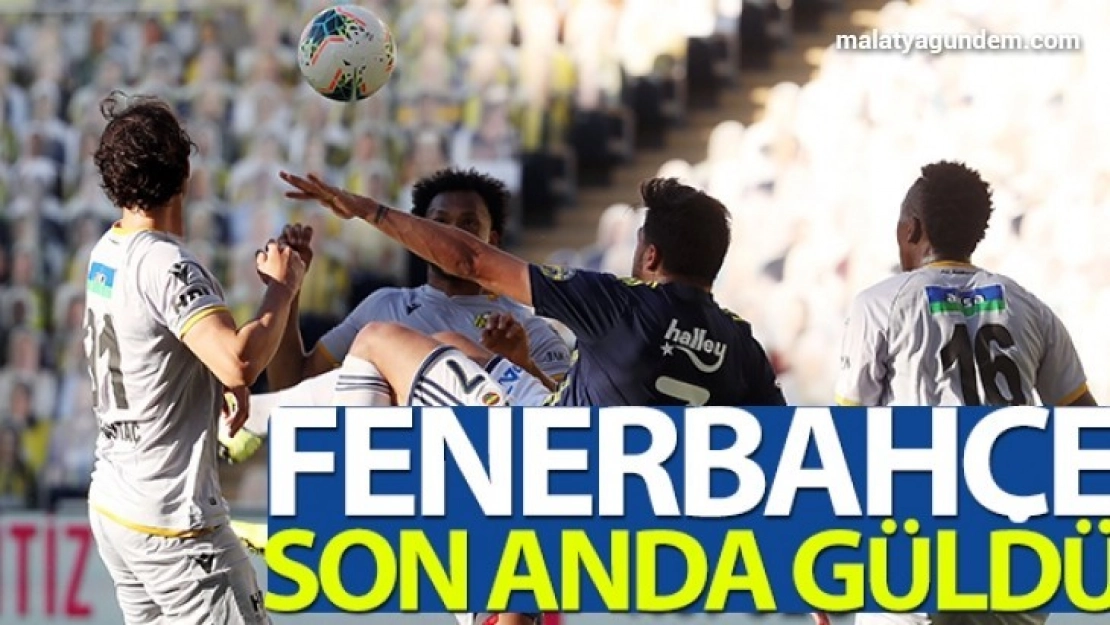 Kanarya, kaplanın pençesinden son anda kurtuldu