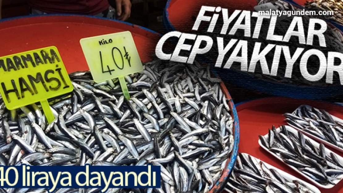 Fiyatı 40 liraya dayandı