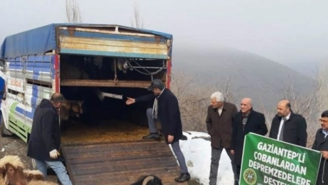 Çobanlardan Depremzedelere Anlamlı Destek