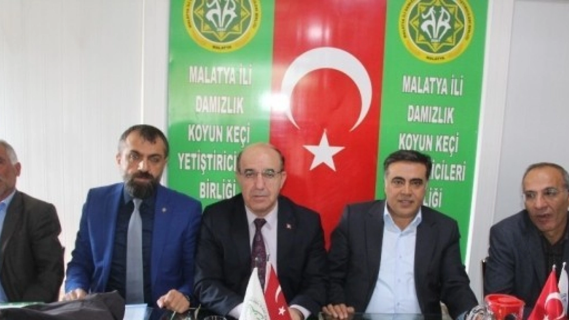 Hayvan Islahı Projesi Toplantısı Yapıldı