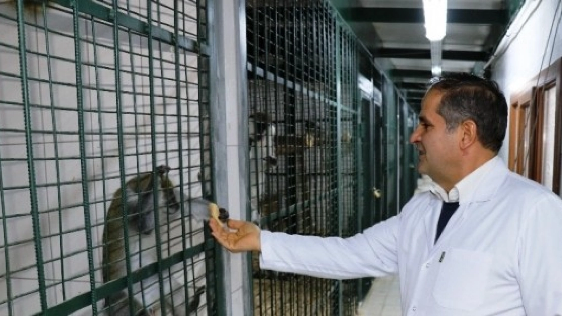Hayvanat Bahçesinde Özel Kış Menüsü