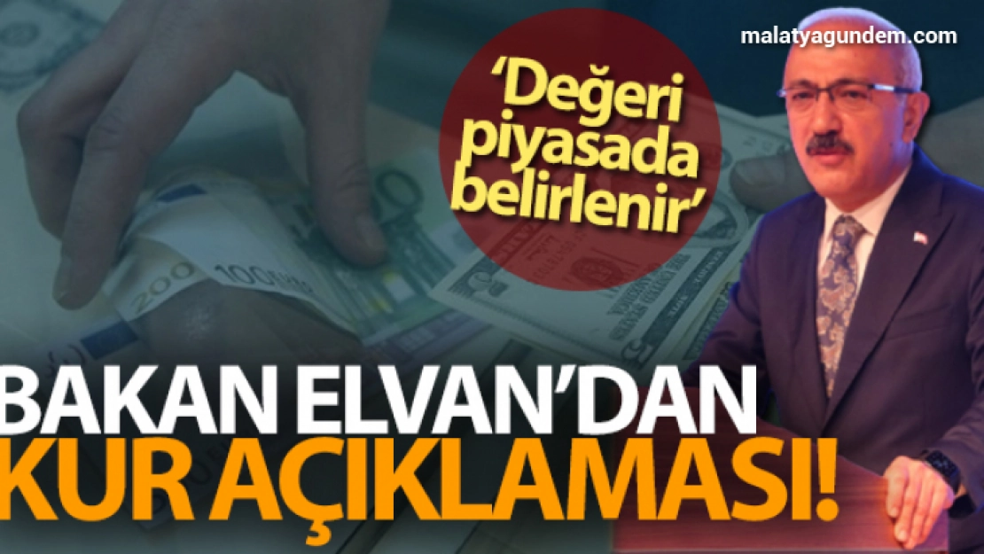Hazine ve Maliye Bakanı Lütfü Elvan'dan kur açıklaması!