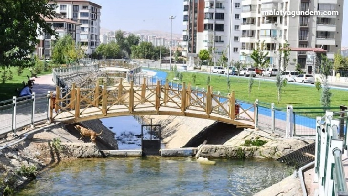 Horata Çayının çevresine yeni bir yaşam alanı kurdu