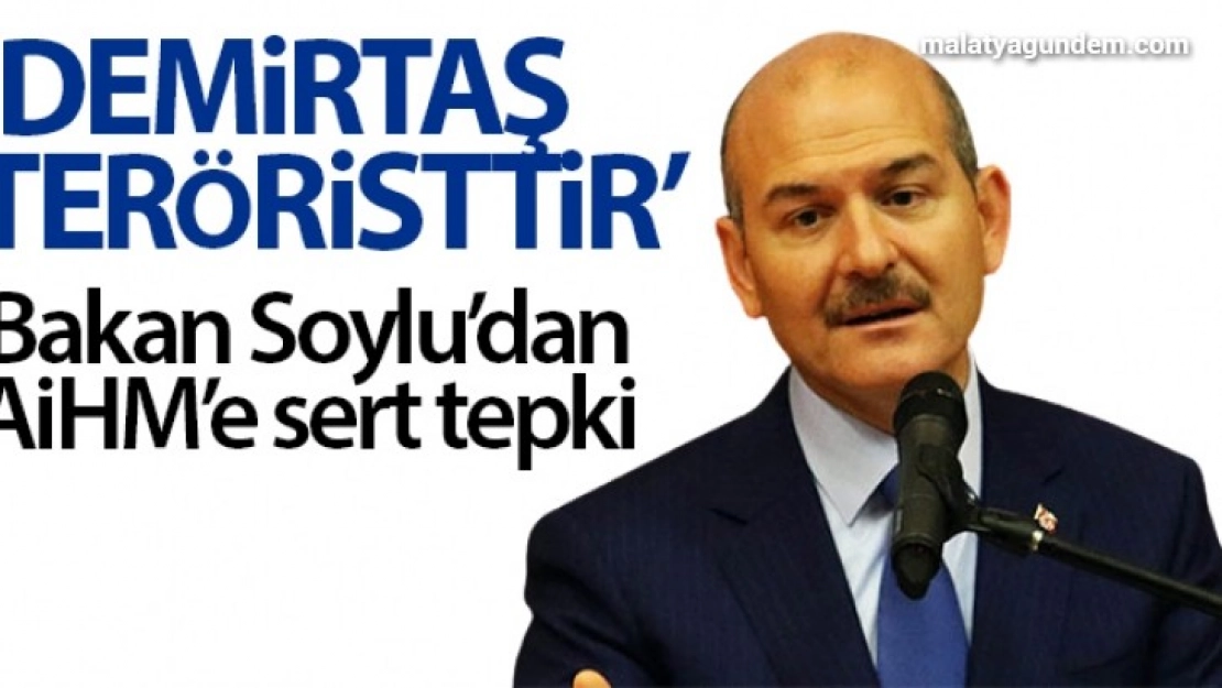 İçişleri Bakanı Soylu'dan AİHM'e sert Demirtaş tepkisi