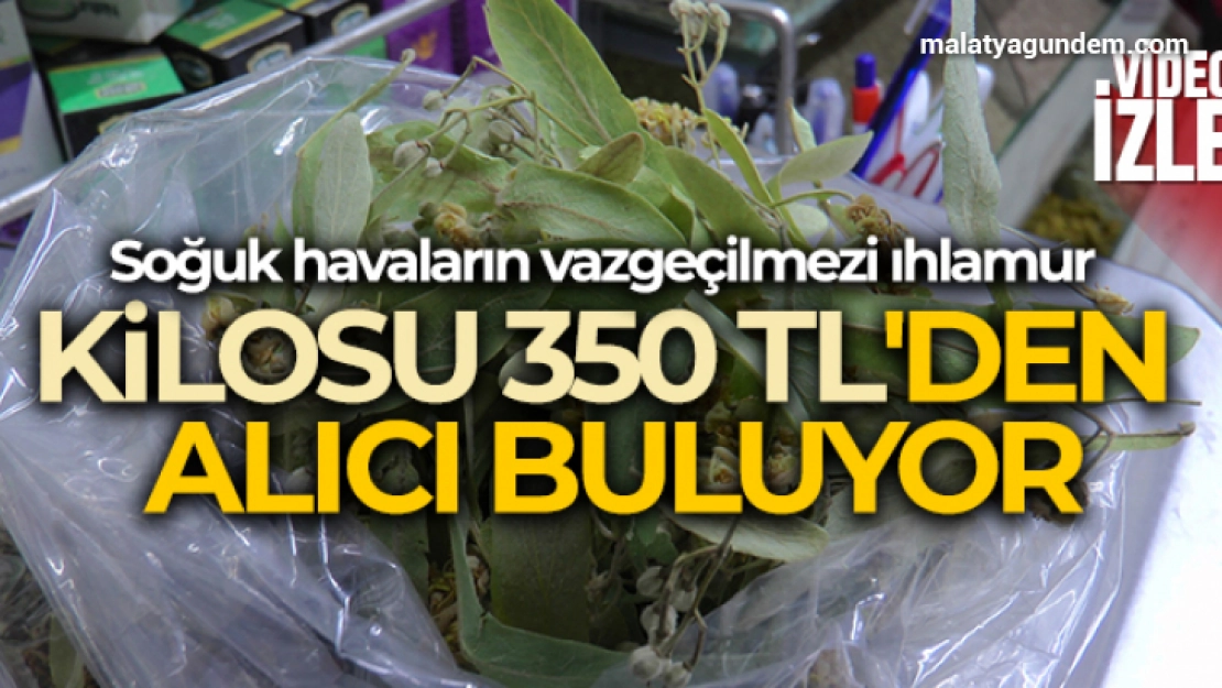 Ihlamurun kilosu 350 TL'den alıcı buluyor Giriş:22 Şubat 2022 10:35