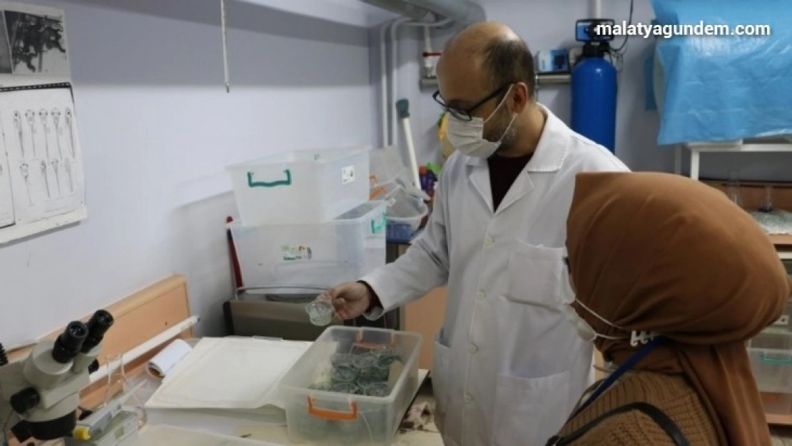 İlaçların olumsuz etkileri deney hayvanlar üzerinde araştırılıyor