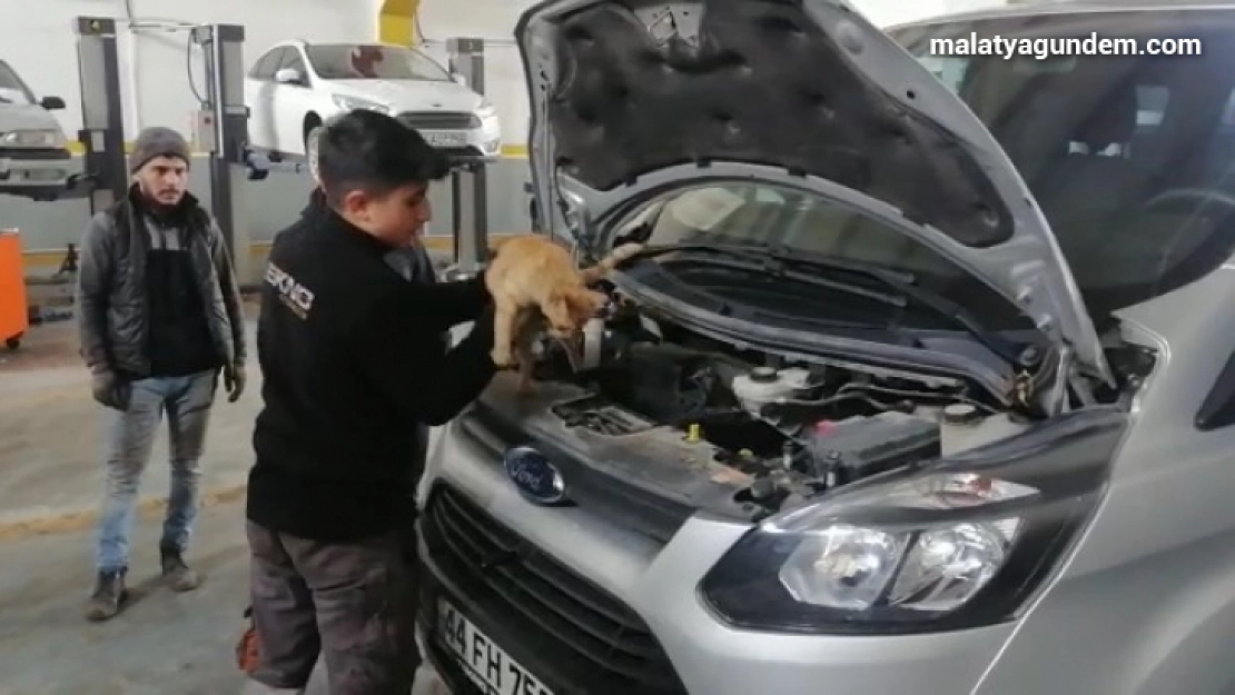 Isınmak için girdiği aracın motorundan çıkmak istemedi