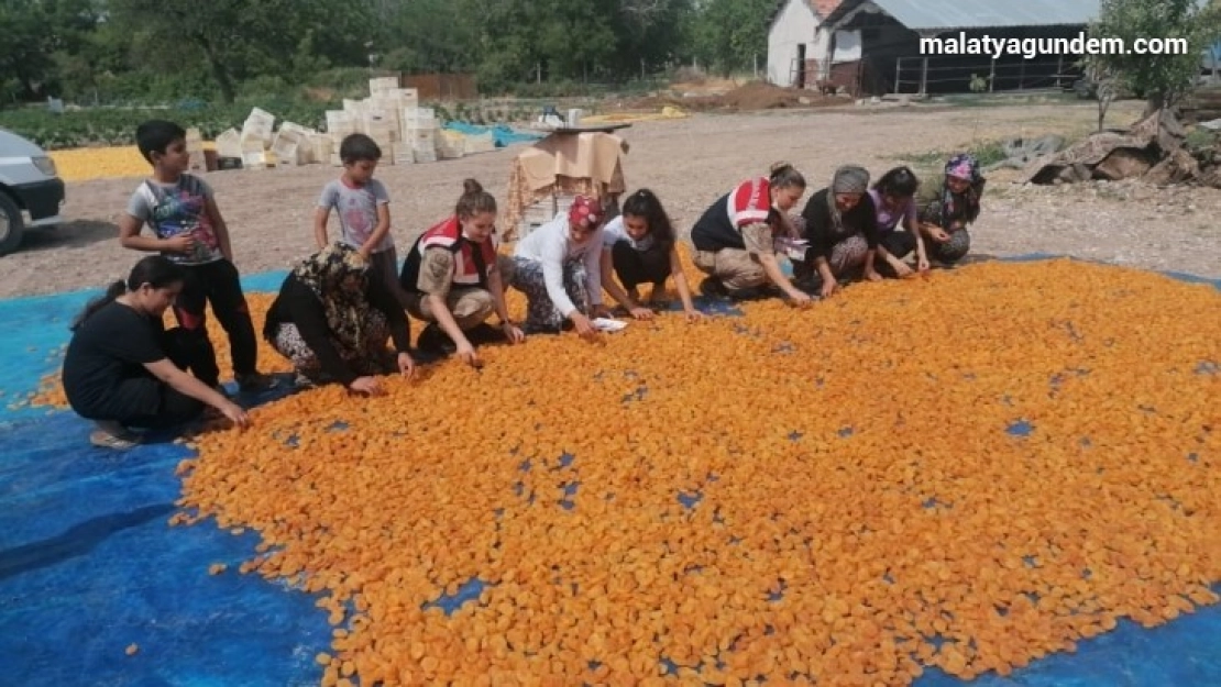 Jandarma'dan bahçede çalışan kadınlara eğitim