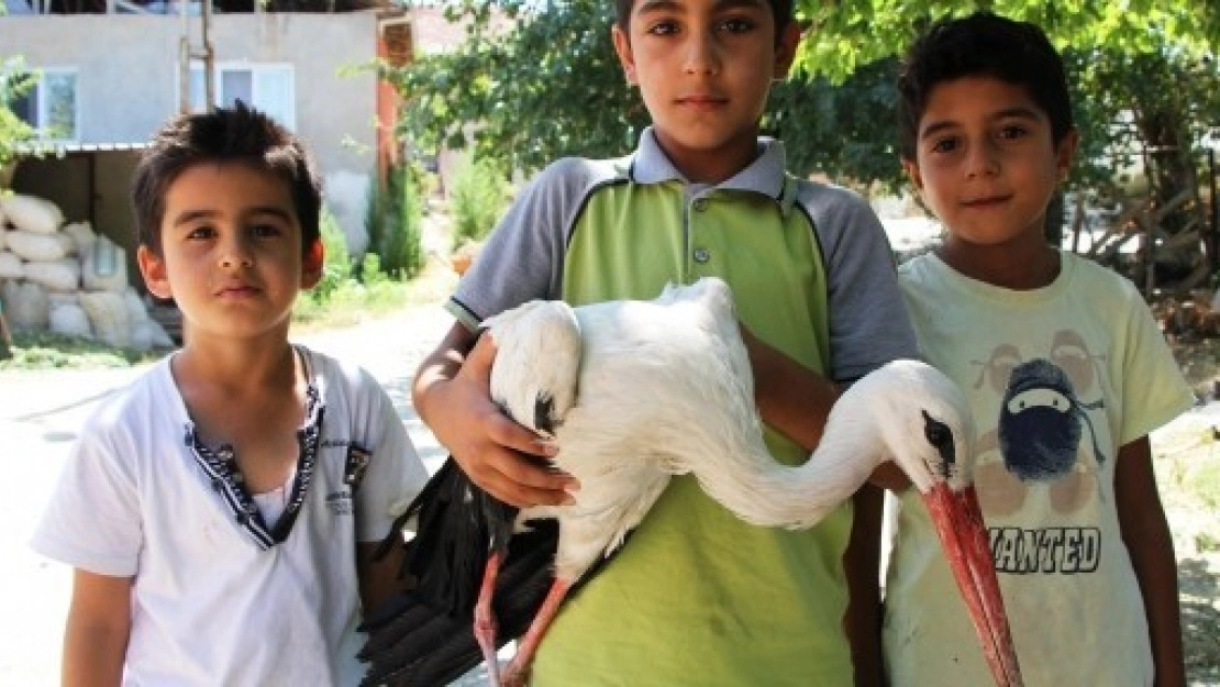 Kanadı Kırık Leyleğe Çocuklar Sahip Çıktı