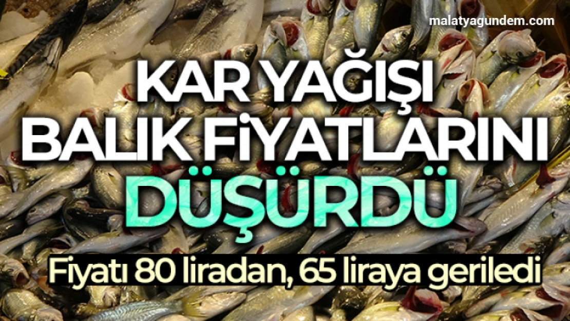 Kar yağdı, fiyatı 65 liraya geriledi