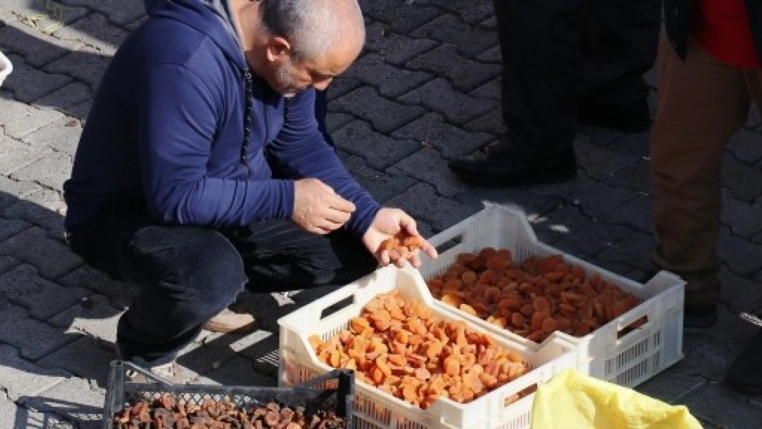 Kayısı İhracatında Gelir Düştü