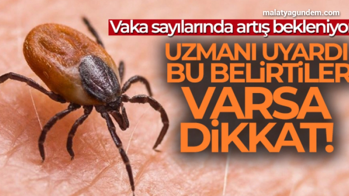 Kene ısırması belirtisi nasıl anlaşılır? Uzmanı uyardı! Vaka sayılarında artış bekleniyor