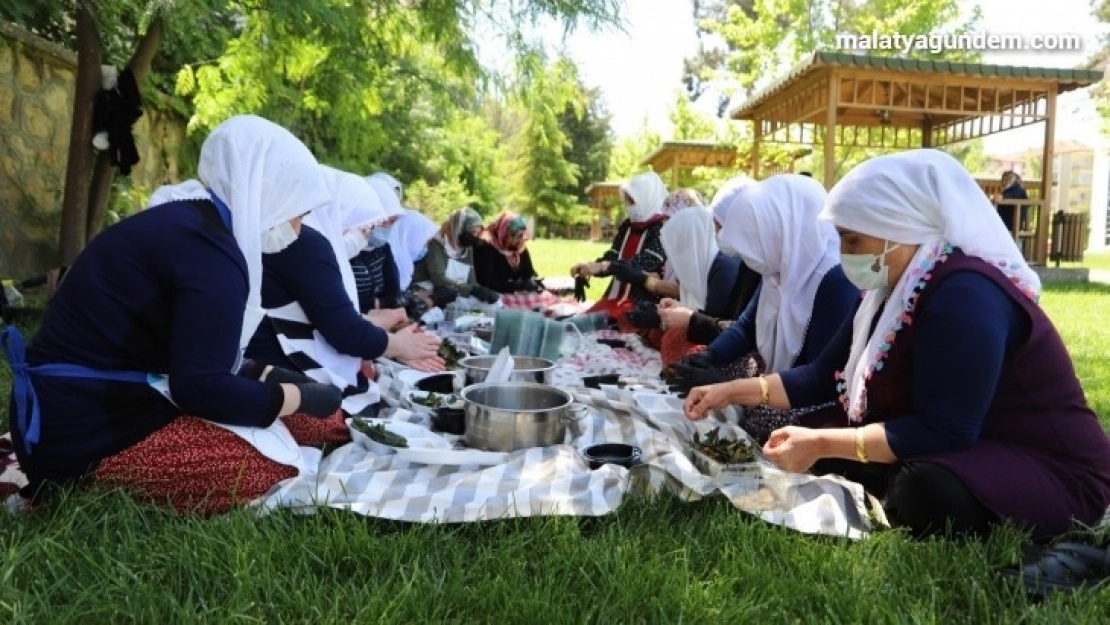 Kiraz yaprağı sarmasının satışı Türkiye'nin dört bir yanına yapılacak