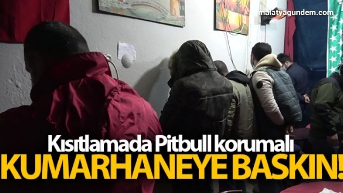 Kısıtlamada Pitbull korumalı kumarhaneye baskın