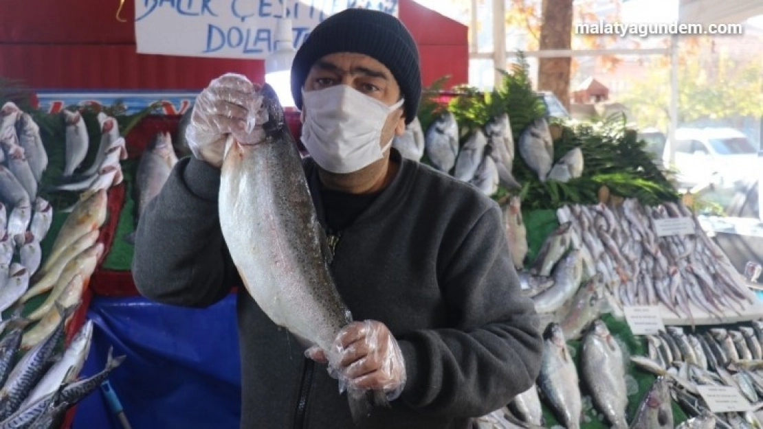 Kısıtlamada vatandaşlardan balıklara yoğun ilgi