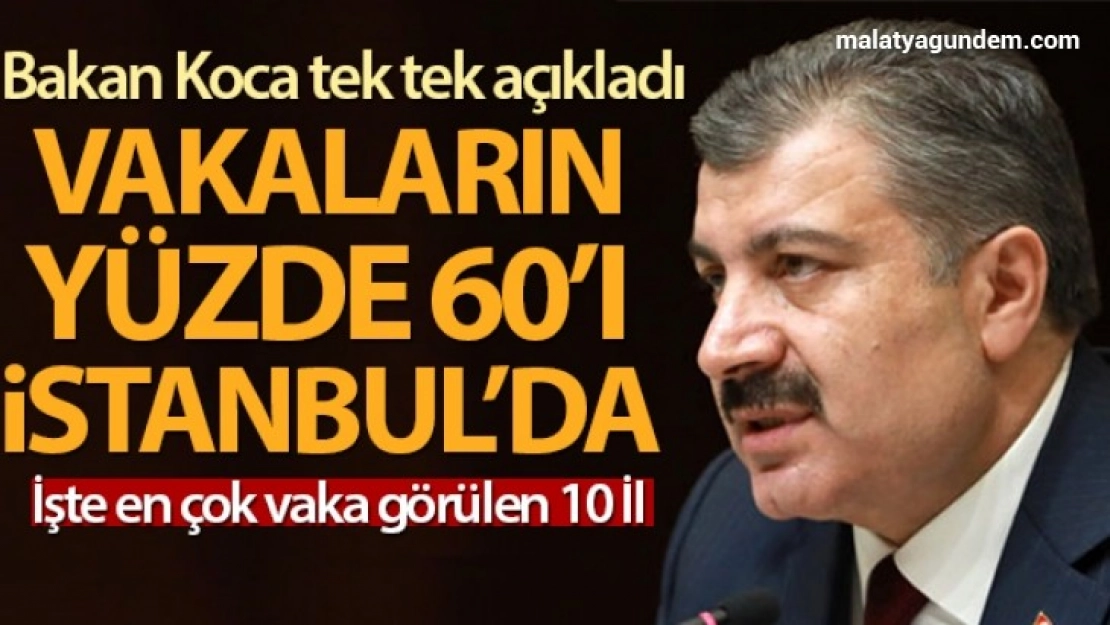 Koca en çok vaka görülen 10 ili açıkladı