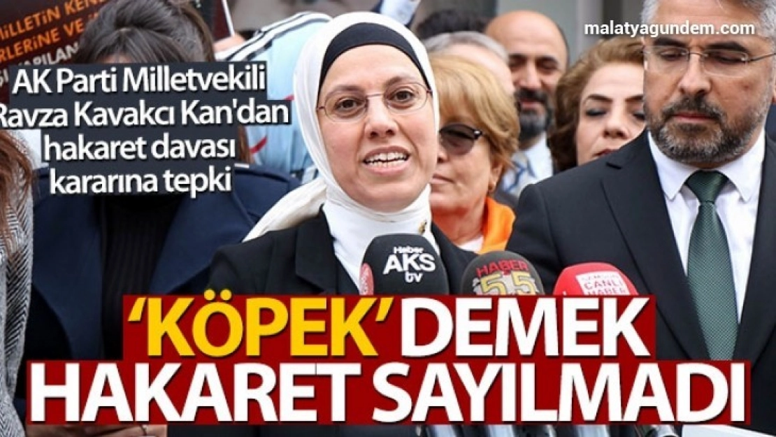 'Köpek' demek hakaret sayılmadı
