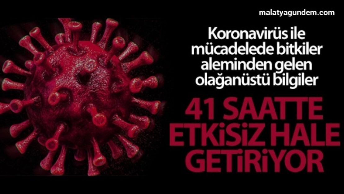 Korana virüsüne karşı kritik çözüm: 41 saatte etkisiz hale getiriyor