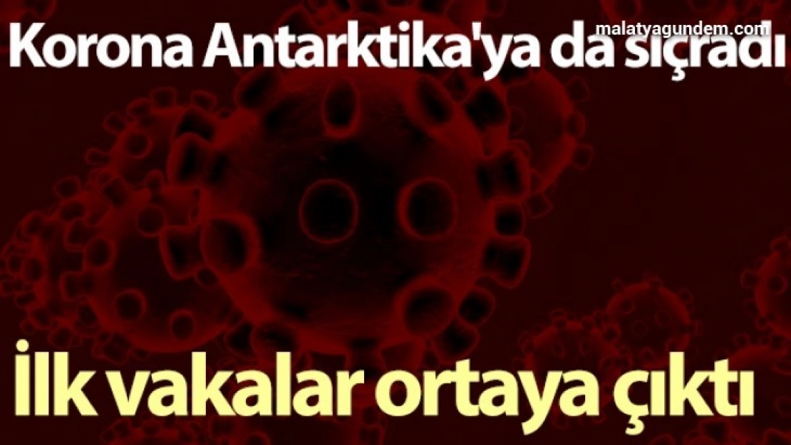 Korona Antarktika'ya da sıçradı