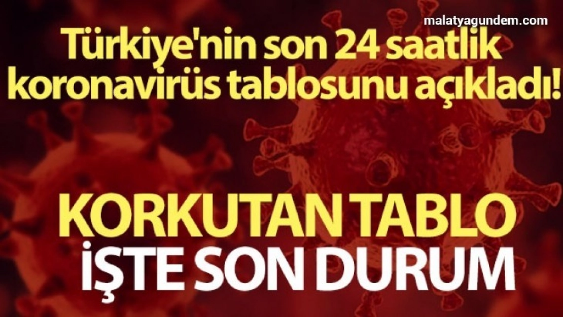 Korona virüs de tablo korkutuyor