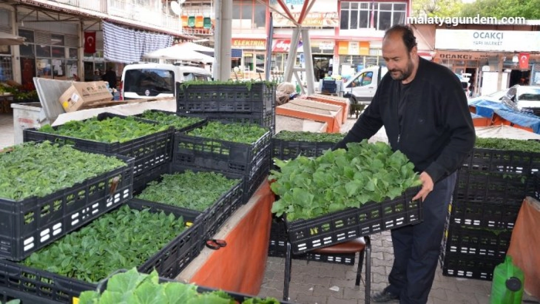 Korona virüs fide satışlarını da düşürdü