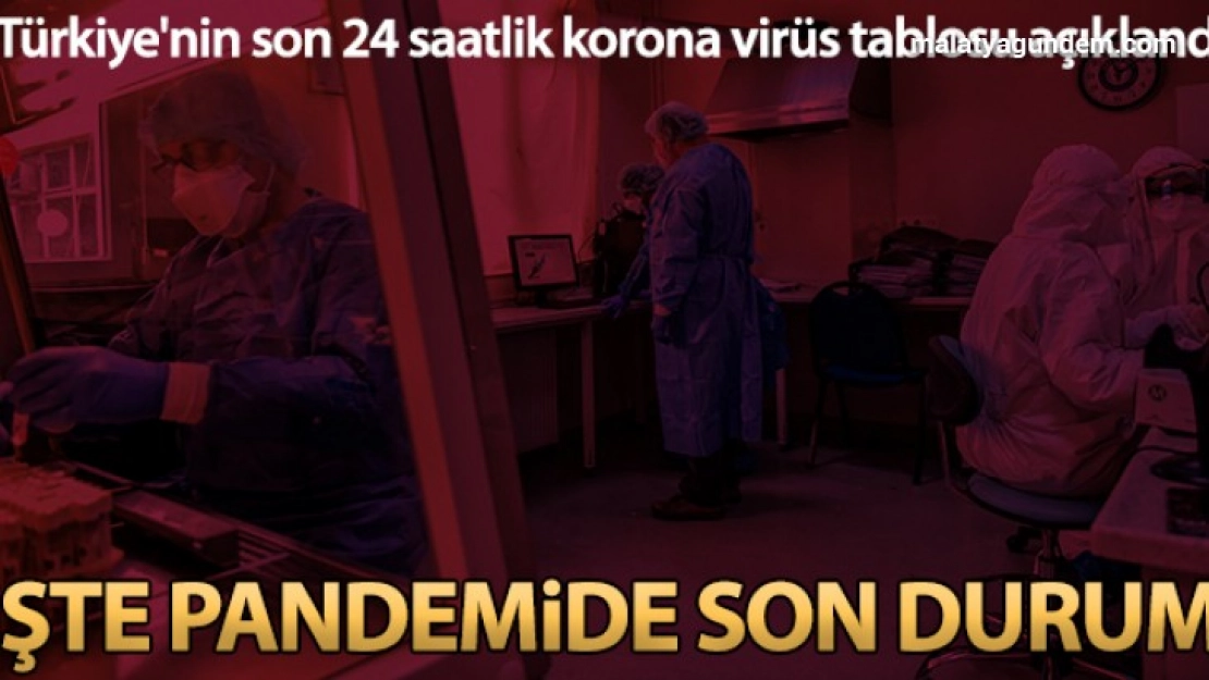 Korona virüsten 230 kişi hayatını kaybetti