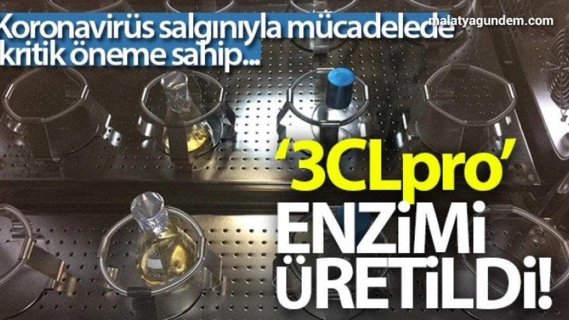 Koronavirüs salgınıyla mücadelede kritik öneme sahip '3CLpro' enzimi üretildi