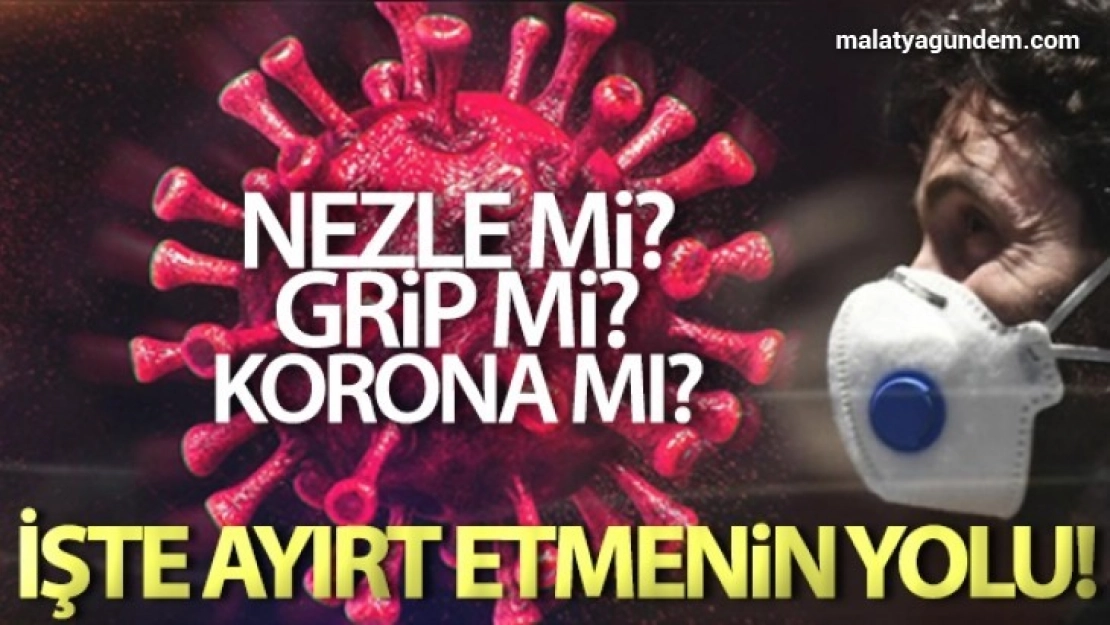 Koronavirüsü nezle, grip ve alerjiden ayırt etme yolları