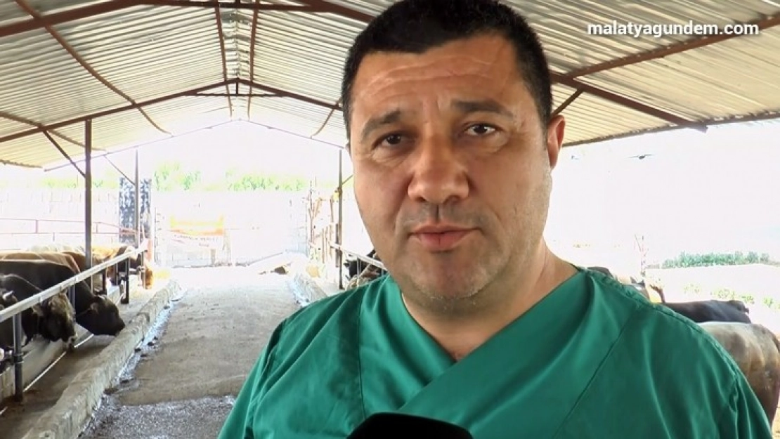 Kurbanlık alacaklara uzmanından önemli uyarılar