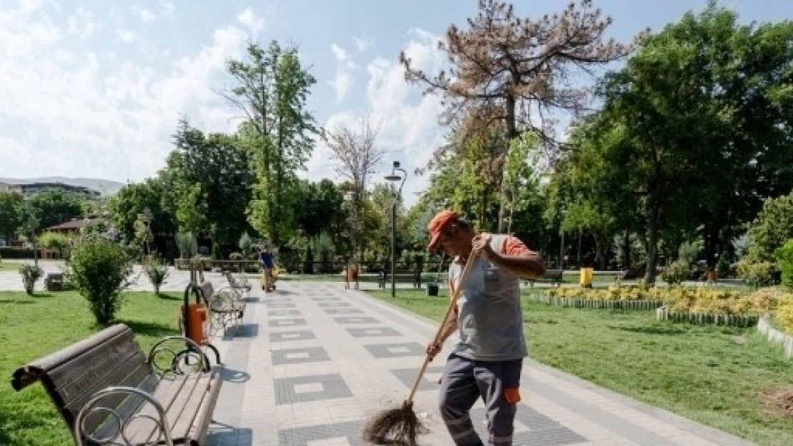 Kuruyan Ağaçların Yerine Yenileri Dikildi