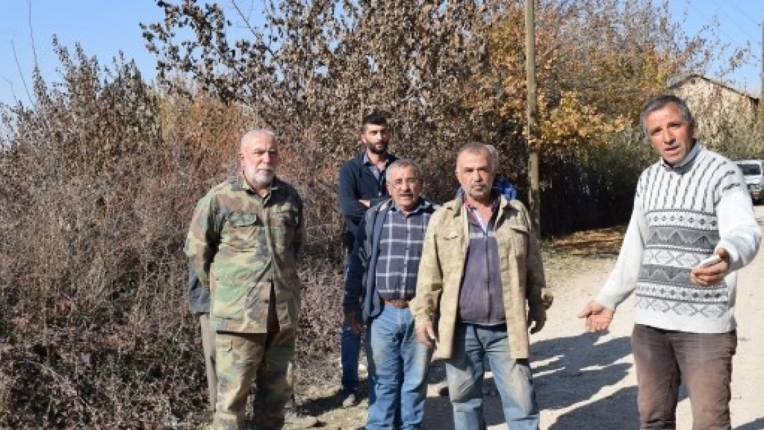 Mahallelinin Yol Çağrısı