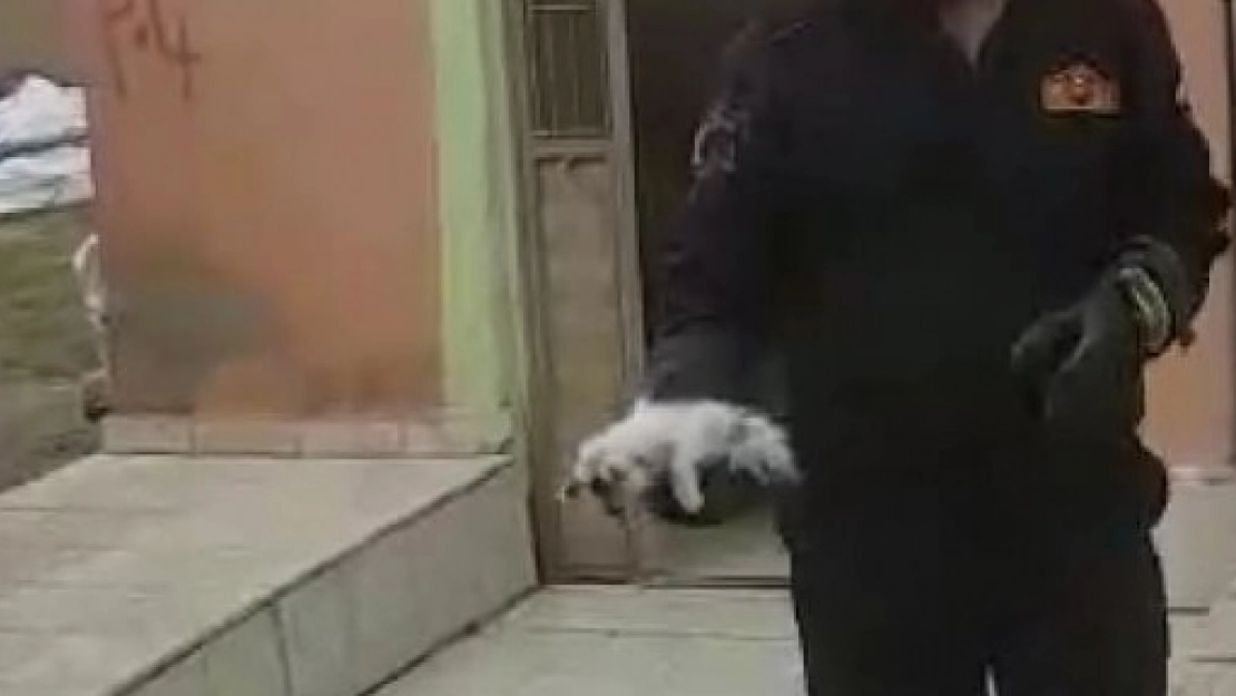 Mahsur Kalan Kediyi İtfaiye Kurtardı