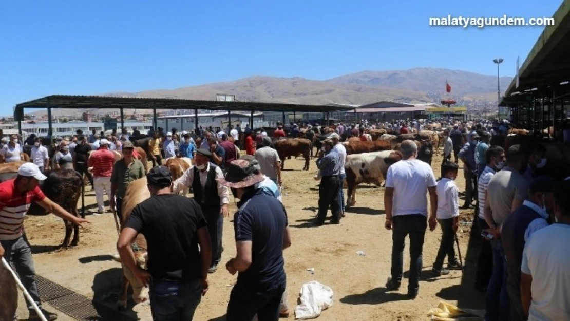 Hayvan Pazarı'nda Arefe günü yoğunluğu
