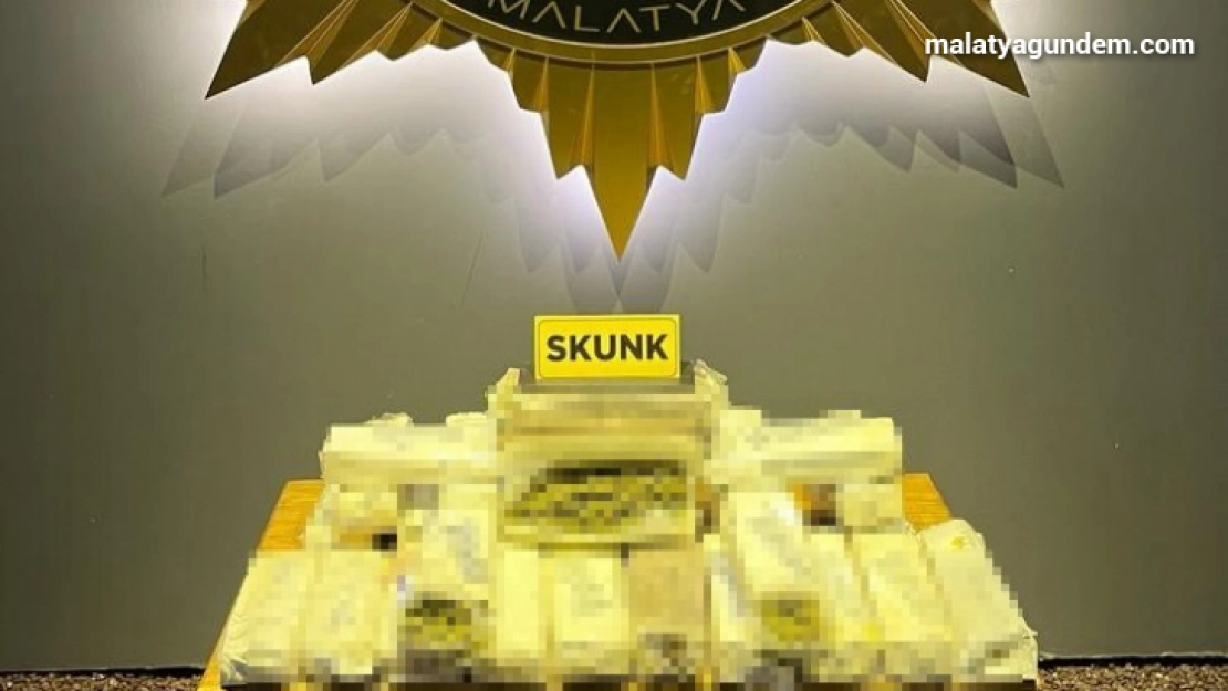 Malatya'da 4 kilo 350 gram skunk ele geçirildi