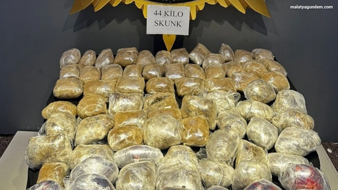 Malatya'da 44 kilogram skunk ele geçirildi