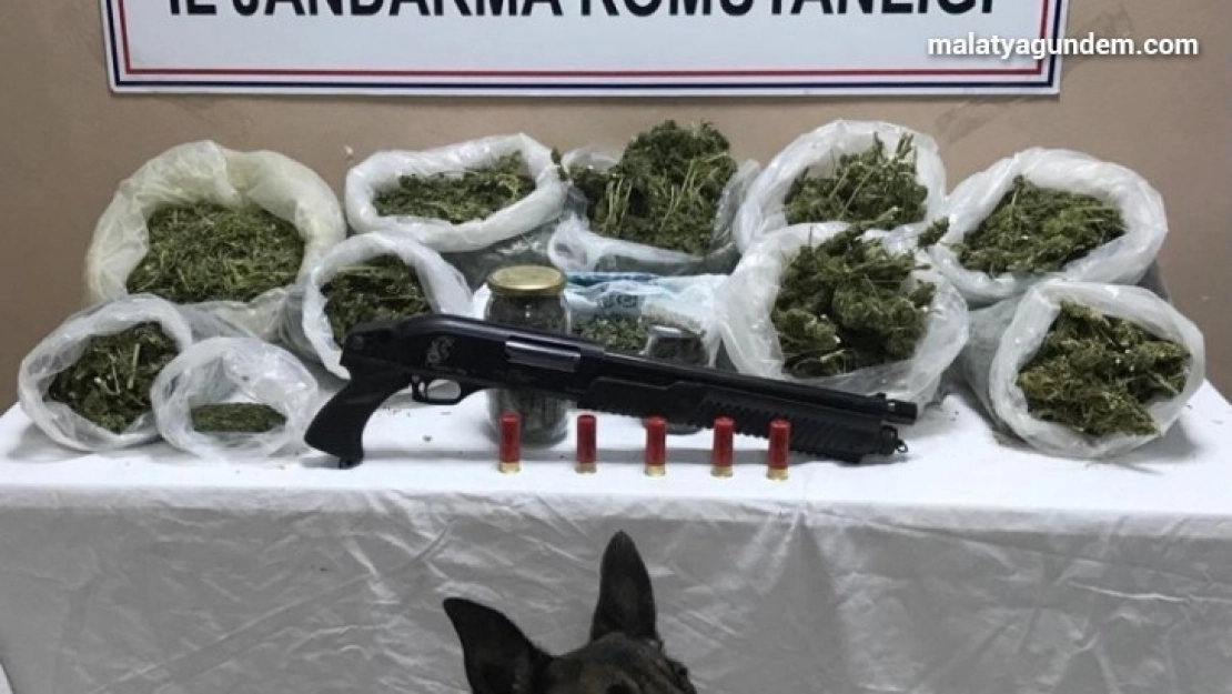 Malatya'da 5 kilo 300 gram esrar ele geçirildi
